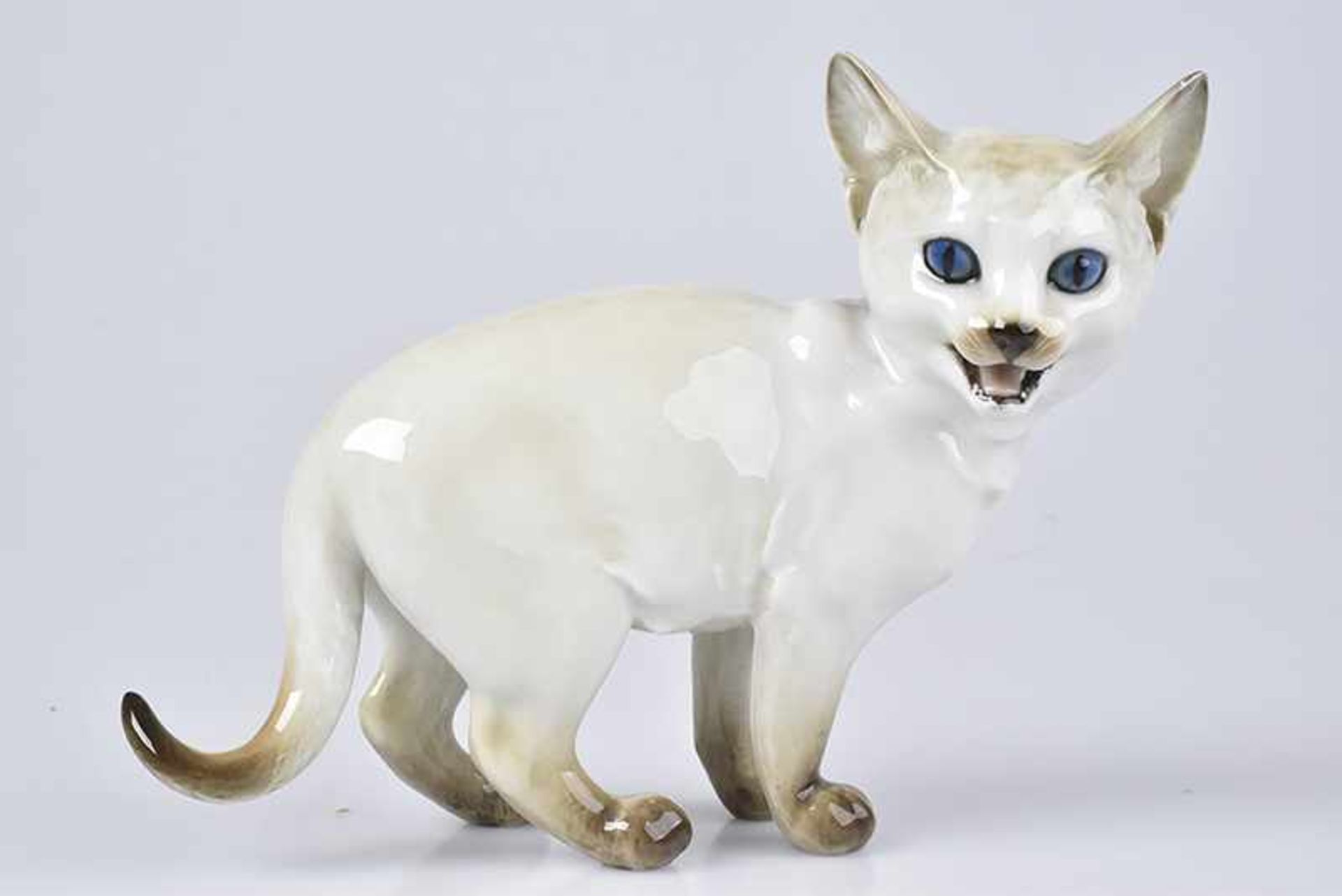 HUTSCHENREUTHER Fauchende Siam-Katze, Selb, 20. Jh., polychrome Bemalung, unterglasurgrüne