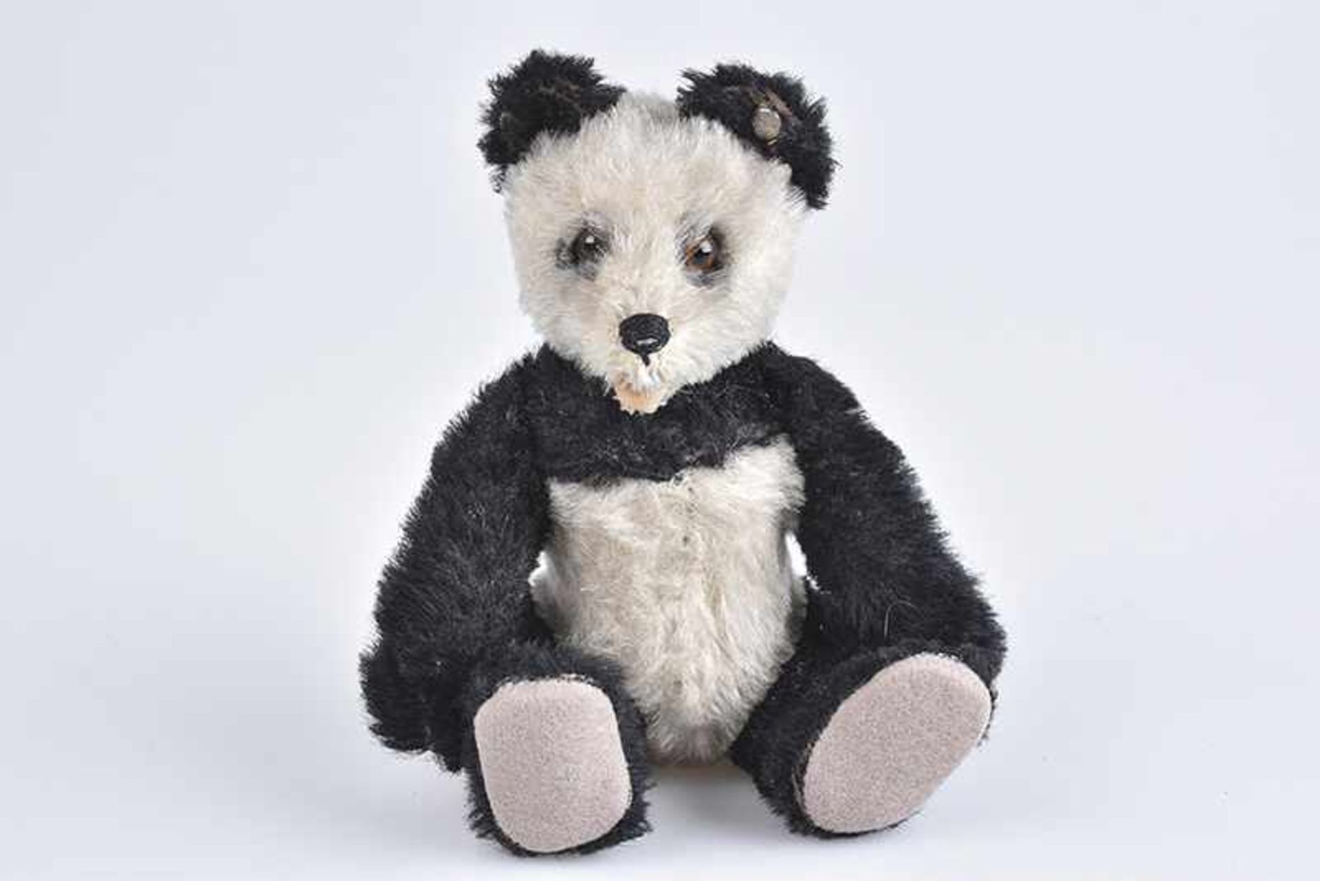 STEIFF Panda Bär, 50er Jahre, mit Knopf, Mohair, 14 cm, 5-fach gegliedert, Filzpfoten, Glasaugen,