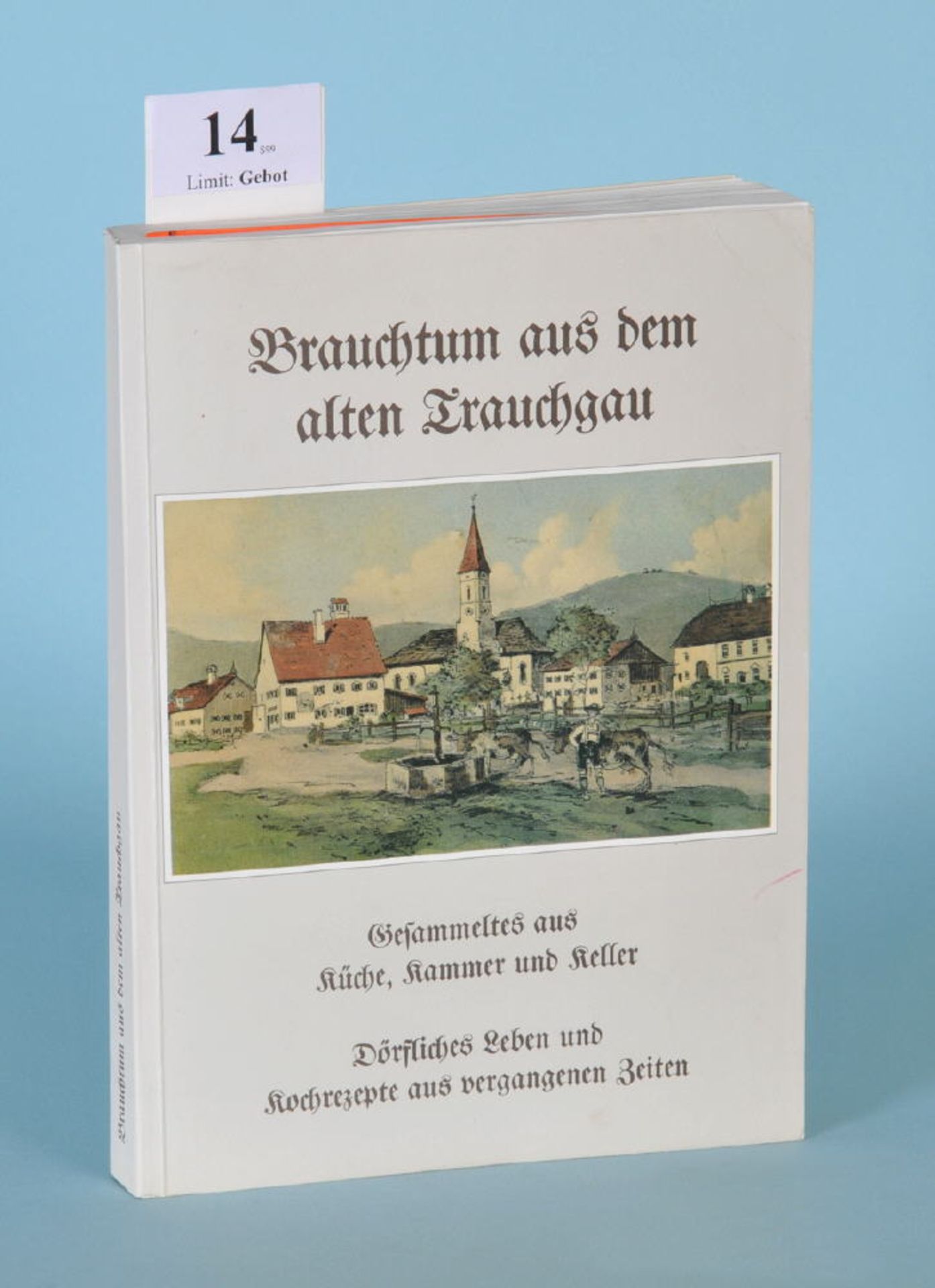 Helmer, Steffi "Brauchtum aus dem alten Trauchgau"zahlr. Abb., 276 S., Druck B. Fichtl, Füssen,