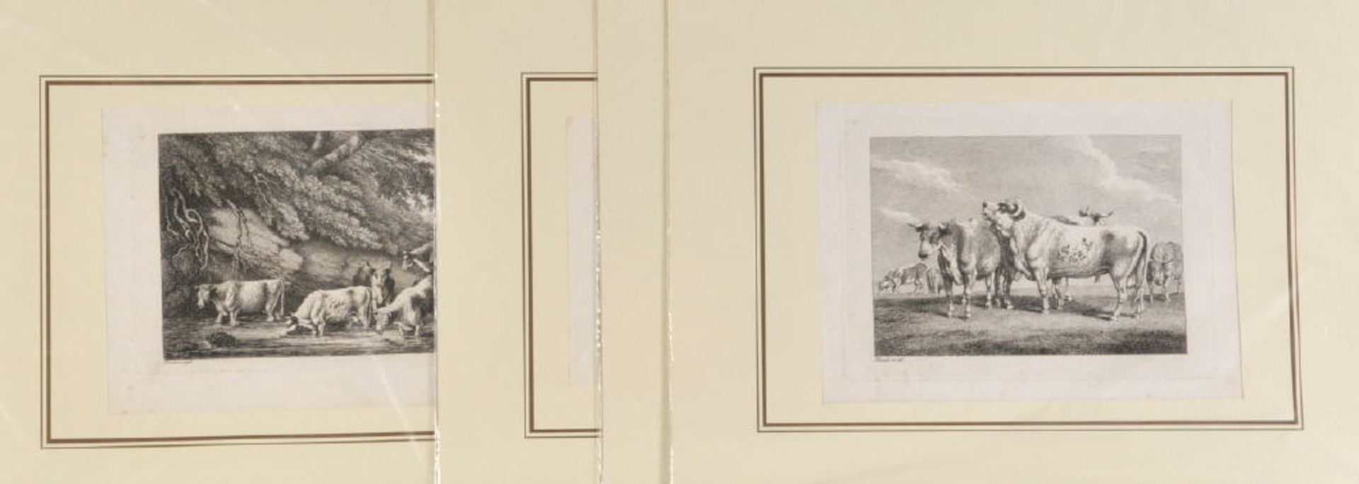 Howitt, William Samuel, ca. 1765 - 18224 Kupferstiche, je ca. 13 x 18 cm, " Rinderdarstellungen ",