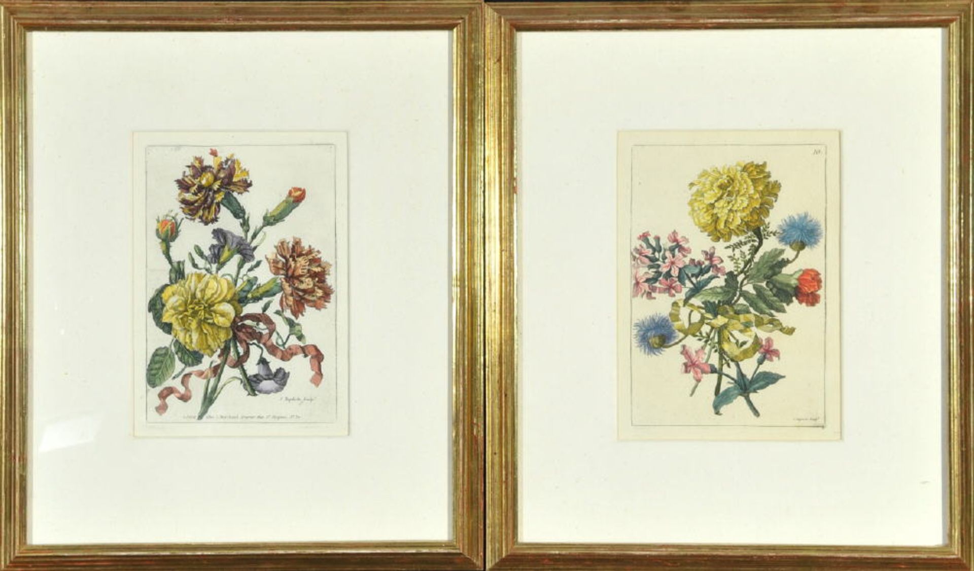 Kupferstiche, 2 Stückhandcolor., 19,5 x 14 cm, " Pflanzenmotive ", um 1800, R