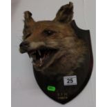 Taxidermy fox mask