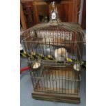 Victorian brass bird cage containing taxidermy owl