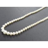 Vintage graduated cultured pearls with white gold clasp