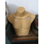 Male torso mannequin