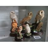 Collection of 8x Country Artists Owls large and small