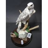 Country Artists Gyr Falcon with fern 10"