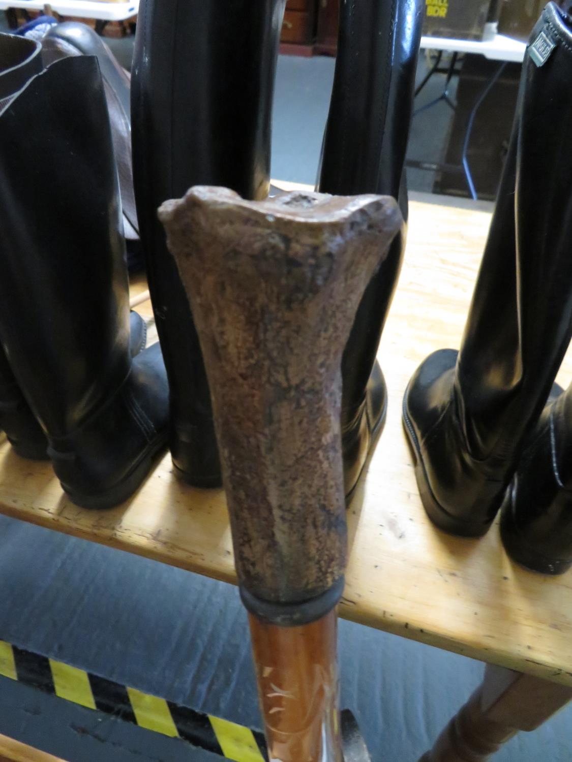 Archeological bone handle and malaquer cane walking stick - Bild 2 aus 2