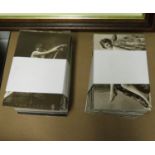 Complete collection of 336 different erotic postcards - sepia reproductions