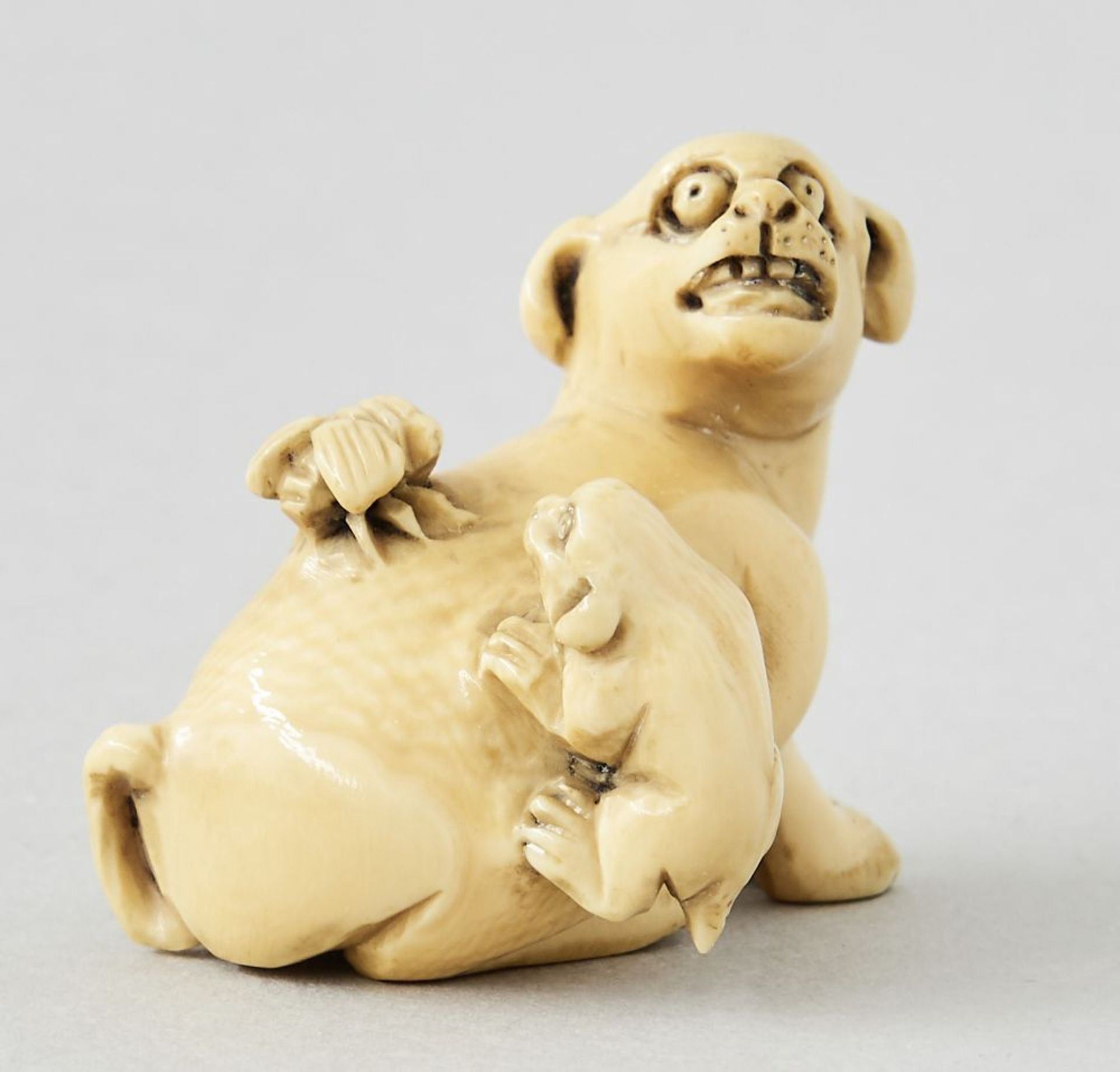 Netsuke, Japan 18./19. Jhdt.Geschnitzte Netsuke, Spielende Hunde, Japan 18./19. Jhdt. Höhe 3 cm,