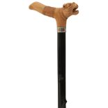 AN UNUSUAL LATE 19TH/EARLY 20TH CENTURY WALKING CANE, the ivory tau shaped handle with snarling