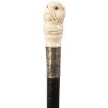 AN EARLY 20TH CENTURY WALKING CANE, the ivory handle carved as a dog's head, above foliate