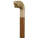 A LATE 19TH CENTURY WALKING STICK, the ivory handle carved as the head of a lion, malacca haft, bone