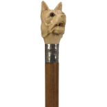 AN EARLY 20TH CENTURY WALKING CANE, the ivory handle carved as the head of a dog with glass eyes,