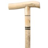 AN EARLY 20TH CENTURY MARINE IVORY WALKING CANE, the handle of plain form, above narrow ebonised