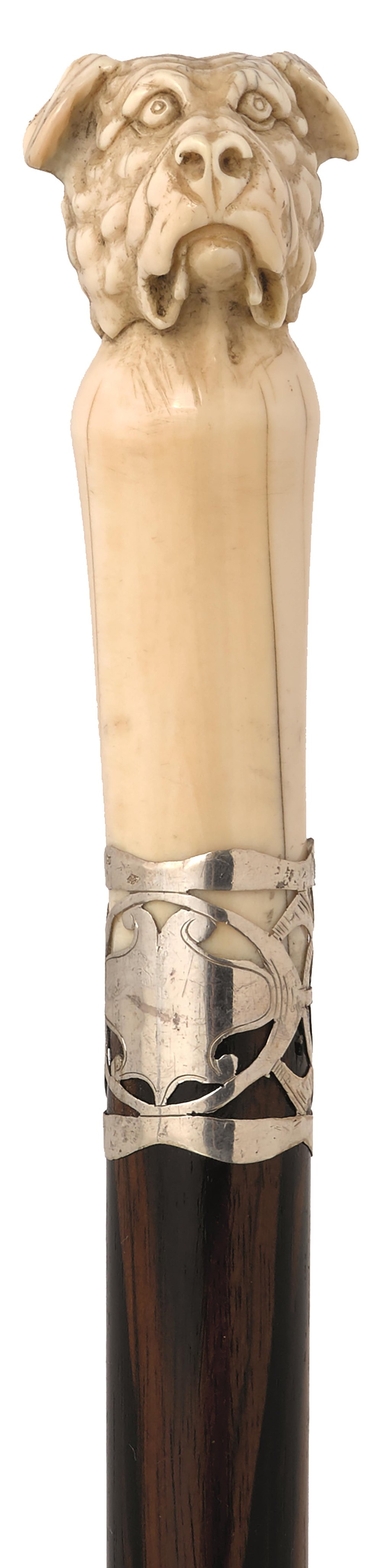 A LATE 19TH CENTURY WALKING CANE, the ivory pommel carved as a double headed dog, white metal - Image 3 of 3