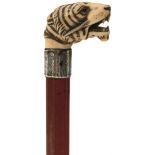 A LATE 19TH CENTURY WALKING CANE, the ivory handle carved and stained as a snarling tiger's head