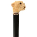 A LATE 19TH/EARLY 20TH CENTURY WALKING CANE, the ivory handle carved as the head of a bulldog with