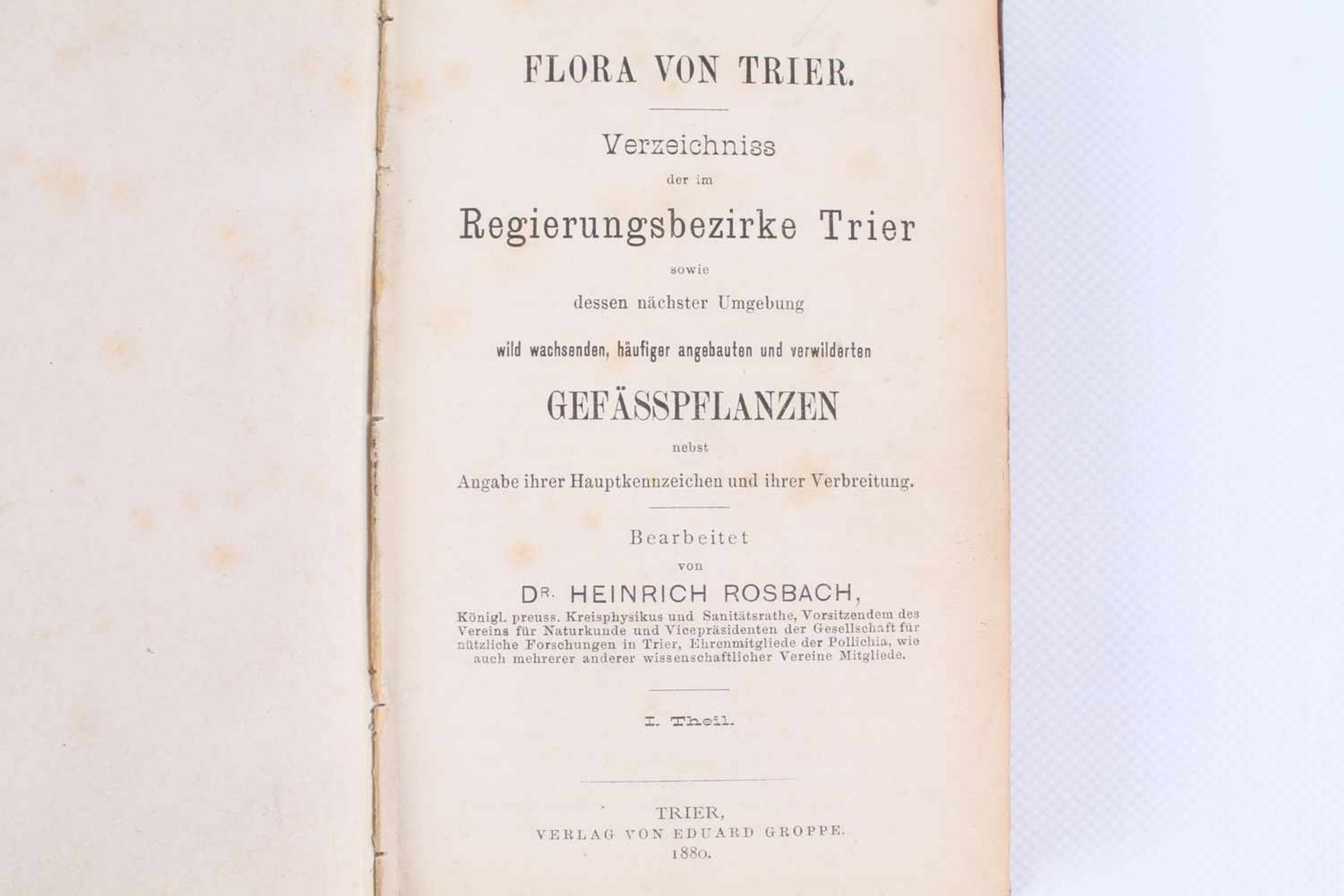 Botanik Fachbuch Flora von Trier von 1880, Dr Heinrich Rosbach,Flora von Trier, Verzeichnis der im - Bild 2 aus 5