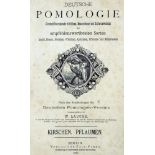 Lauche,W.Deutsche Pomologie. Zweite Ausgabe. Bd. 3: Kirschen, Pflaumen und Zwetschen. Bln., Parey