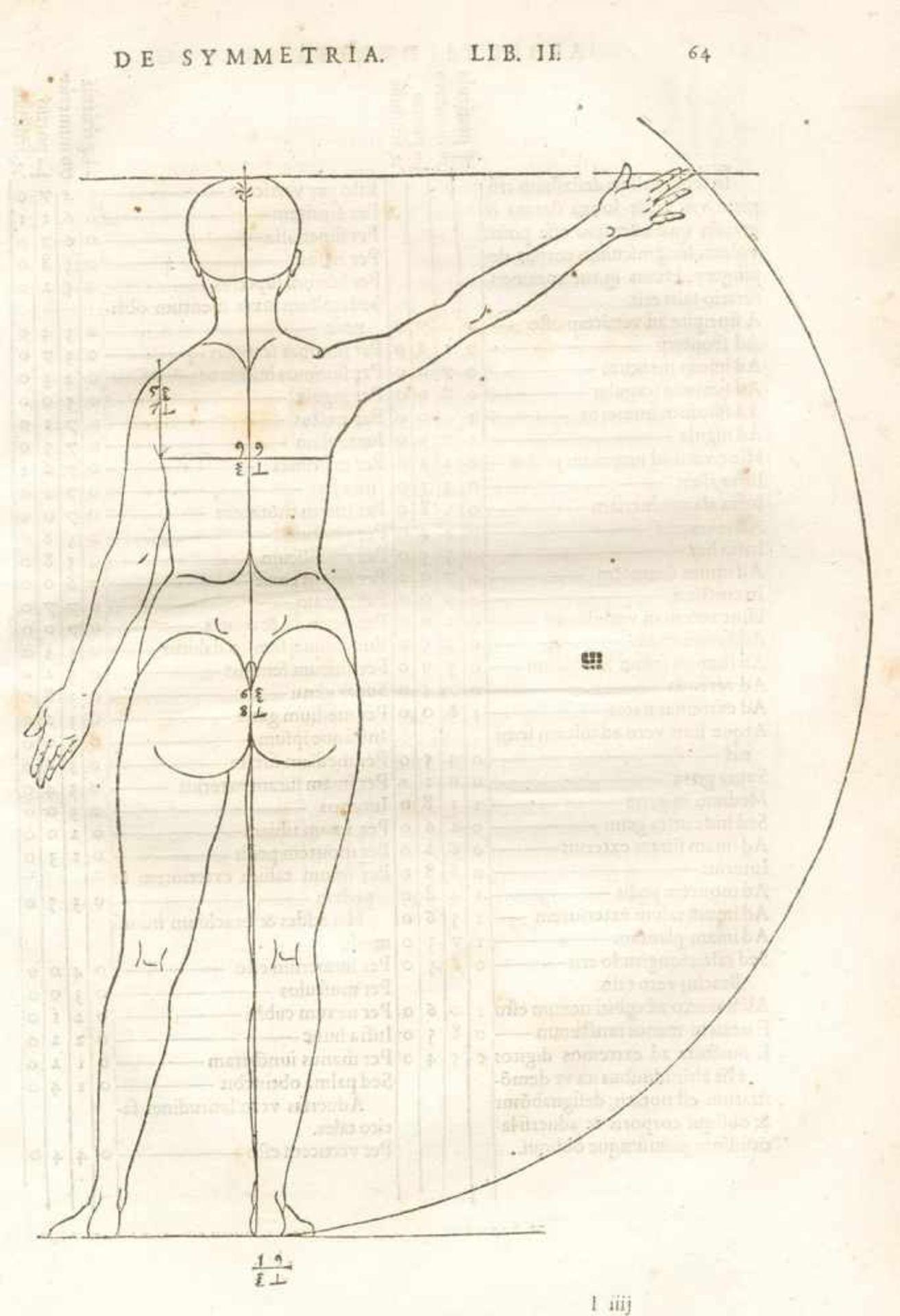 Dürer,A.De symmetria partium humanorum corporum libri quattuor, e Germanica lingua, in Latinam - Bild 3 aus 6