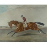 Rennpferd.'Alice Hawthorn. (The Queen of the Turf). Ridden by R.Hesseltine'. Kolor.