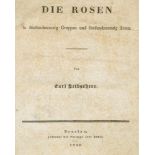 Selbstherr,C.Die Rosen in fünfundzwanzig Gruppen und fünfundneunzig Arten. Breslau, Philipps Erben