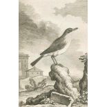 (Buffon,G.L.L.de).Histoire naturelle des oiseaux. 18 Bde. Paris 1770-85. Mit 262 Kupfertaf.