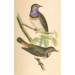 Bree,C.R.A history of the birds of Europe, not observed in the British Isles. 4 Bde. London,