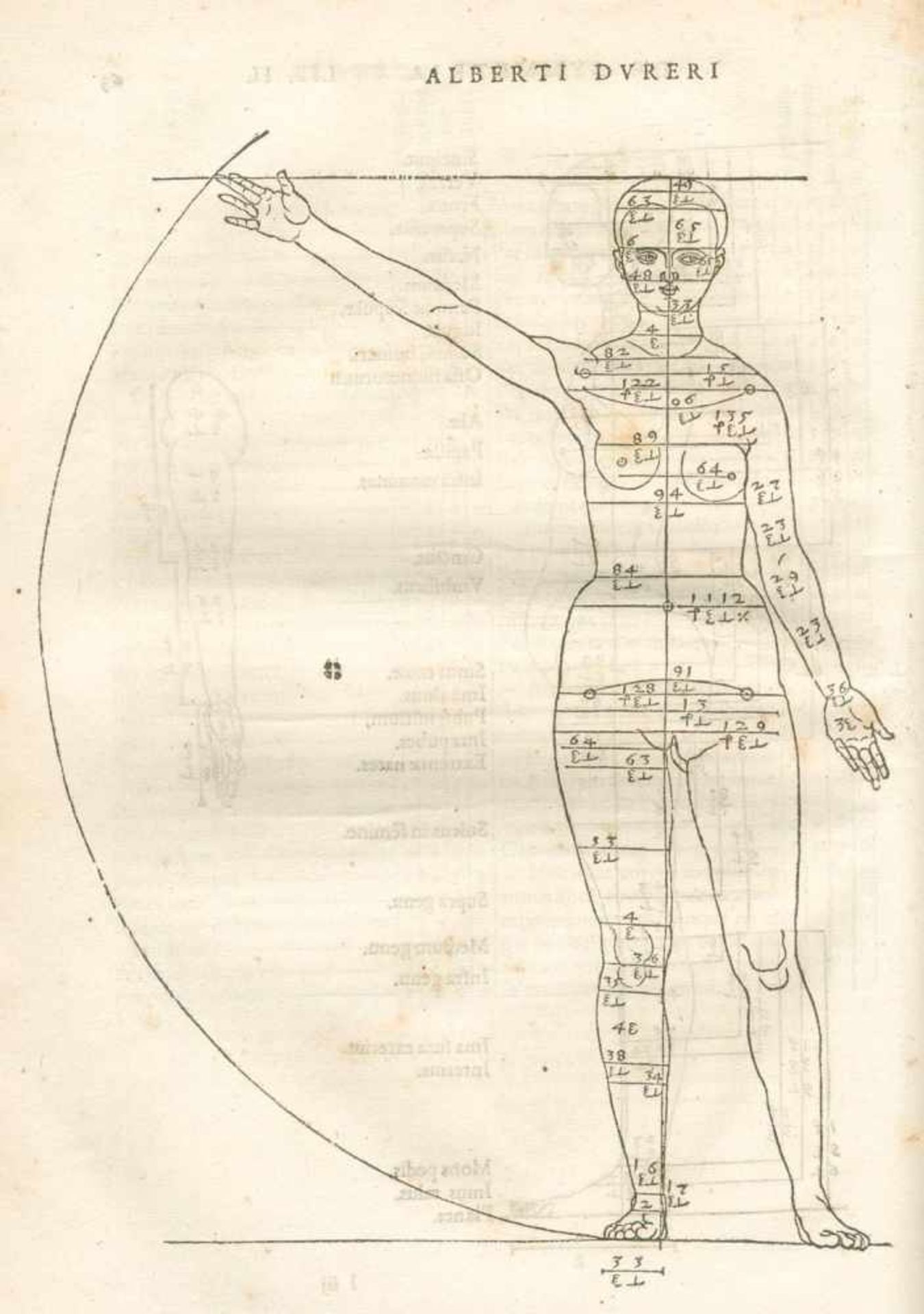 Dürer,A.De symmetria partium humanorum corporum libri quattuor, e Germanica lingua, in Latinam - Bild 2 aus 6