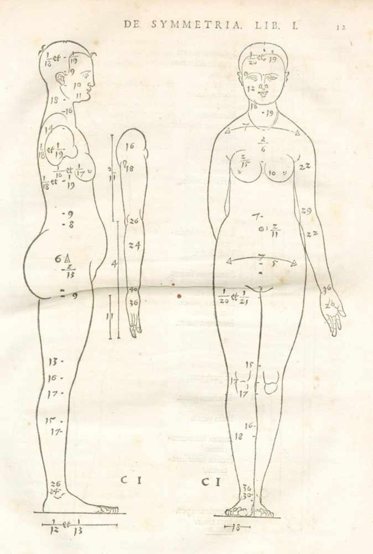 Dürer,A.De symmetria partium humanorum corporum libri quattuor, e Germanica lingua, in Latinam - Bild 4 aus 6