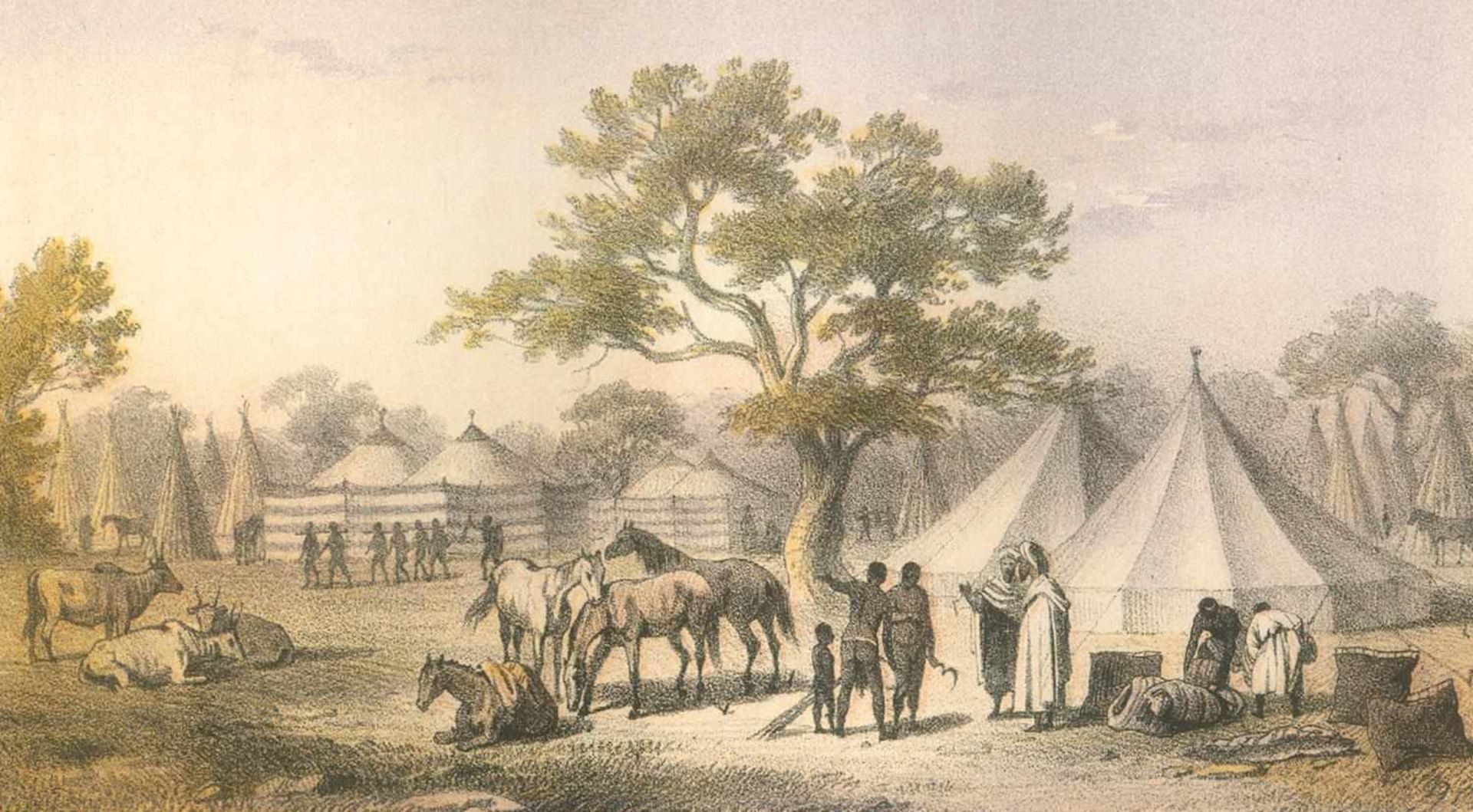 Barth,H.Reisen und Entdeckungen in Nord- und Central-Afrika in den Jahren 1849-1855. 5 Bde. (Bd. 1 - Bild 4 aus 4