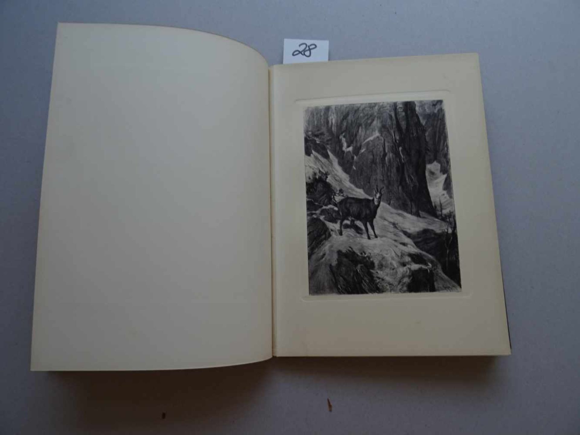 Jagd.- Stieler, K.Auf der Birsch. Jagdgeschichten mit Bildern von Franz von Dausinger. München, - Image 2 of 4