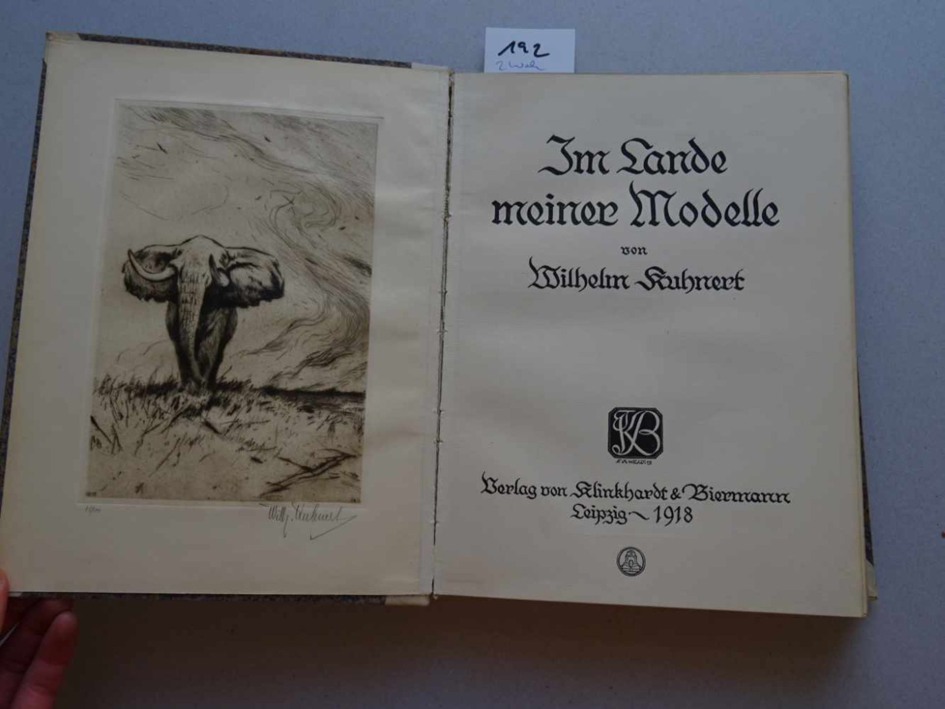 Afrika.- Kuhnert, W.Im Lande meiner Modelle. Leipzig, Klinkhardt u. Biermann, 1918. VI S., 1 Bl., - Bild 5 aus 7