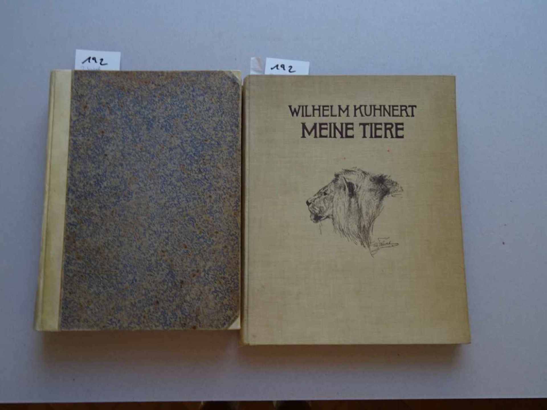 Afrika.- Kuhnert, W.Im Lande meiner Modelle. Leipzig, Klinkhardt u. Biermann, 1918. VI S., 1 Bl.,