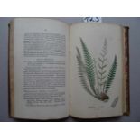 Botanik.- Sowerby, J.E.The Ferns of Great Britain: Illustrated. The descriptions, synonyms, &c. by