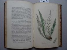 Botanik.- Sowerby, J.E.The Ferns of Great Britain: Illustrated. The descriptions, synonyms, &c. by