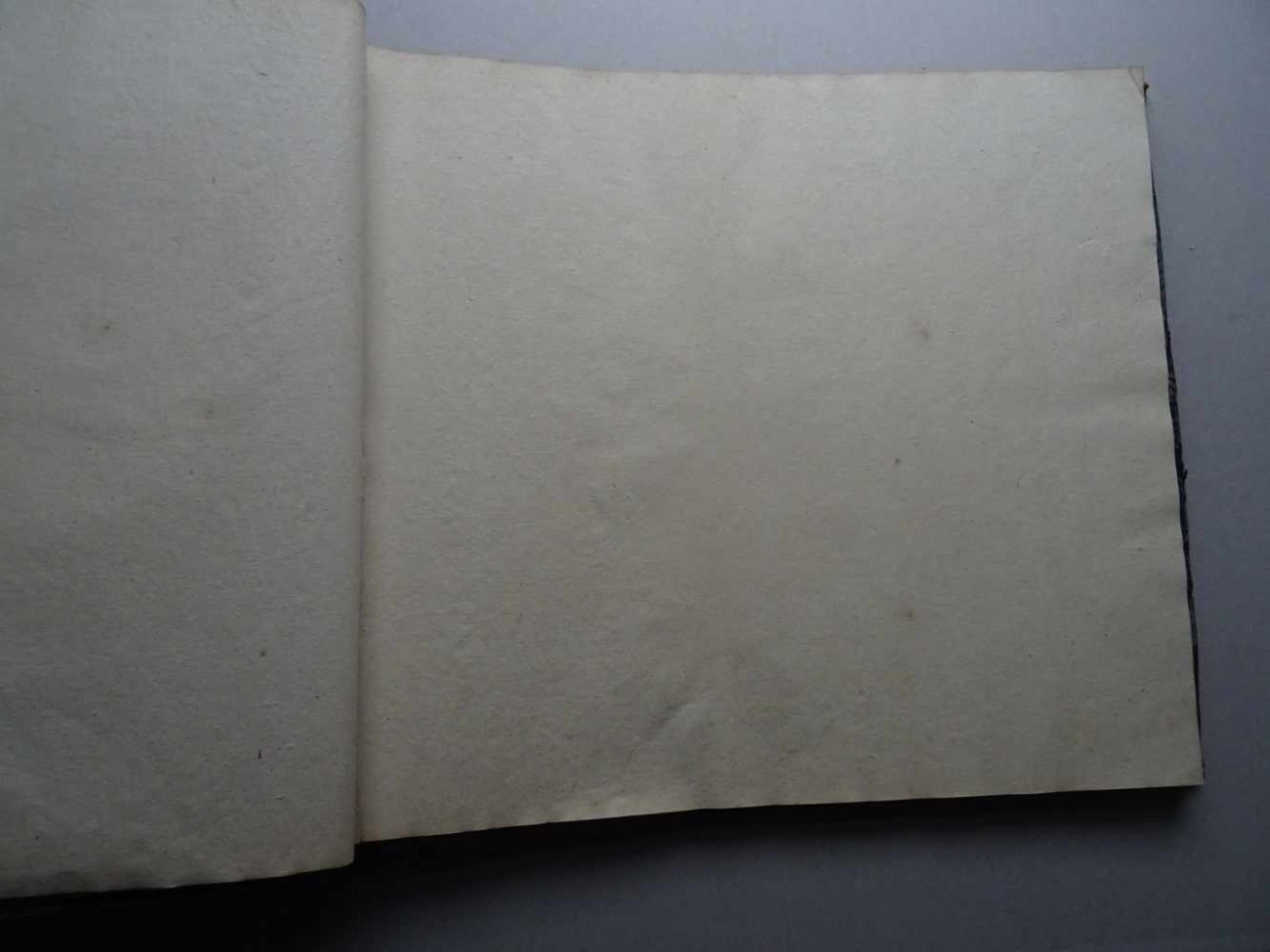 Einband.Halbledereinband (ca. 51 x 59 cm) des 18. Jahrhunderts mit 2 handschriftlichen - Bild 3 aus 3