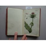 Botanik.- (Zorn, J.).Icones plantarum medicinalium. Centuria II. Abbildungen von Arzneygewächsen.