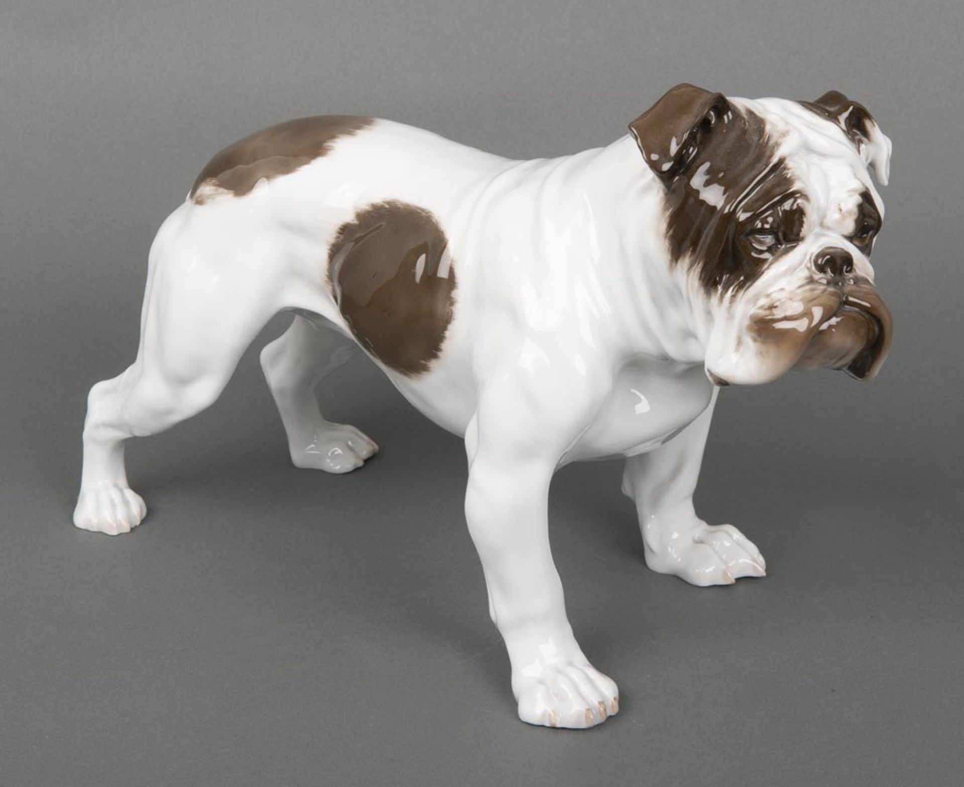 Bulldogge. Rosenthal 20. Jh. Porzellan, bunt bemalt, mit Formnummer K345. Entwurf und sign. (