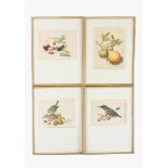 Six printsSix prints, with fruits and animals ,Renaissance subjects ,on paper, framed under glass in