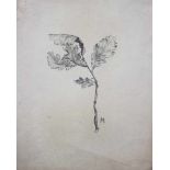 German Artist 19. century, leave,monogrammed, black chalk on paper, reverse study28x18cmThis is a