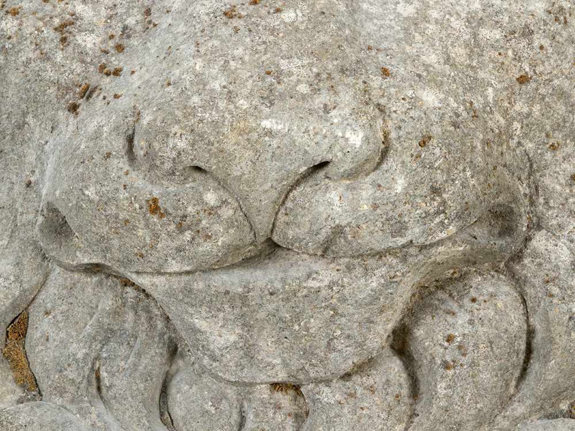 Lion Relief. Round stone plinth with lion head surrounded by leaves in half relief technique, - Bild 3 aus 3