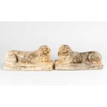 Austrian 16th/17th Century, Pair of terracotta lions, hand sculpted on rectangular bases; remains of