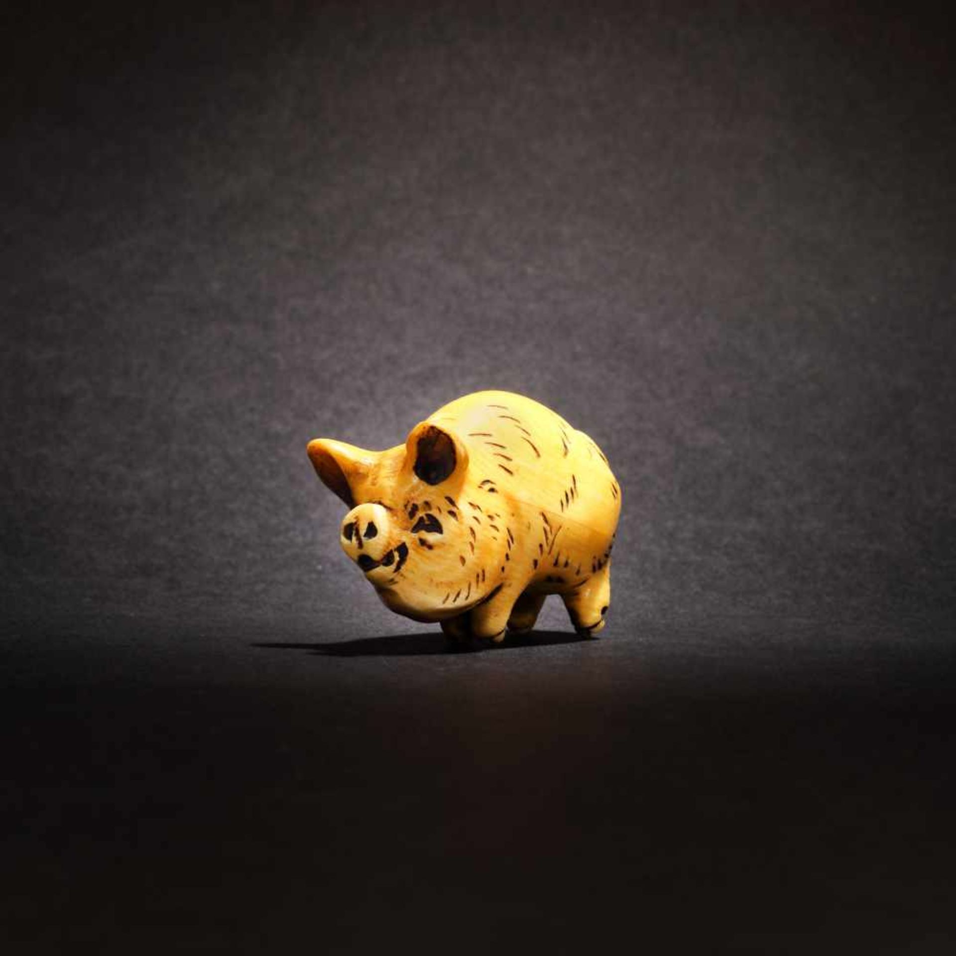 Ivory netsuke of a pig, Kazumasa signature, Meiji Era, Japan, the 19th centuryIvory netsuke of a