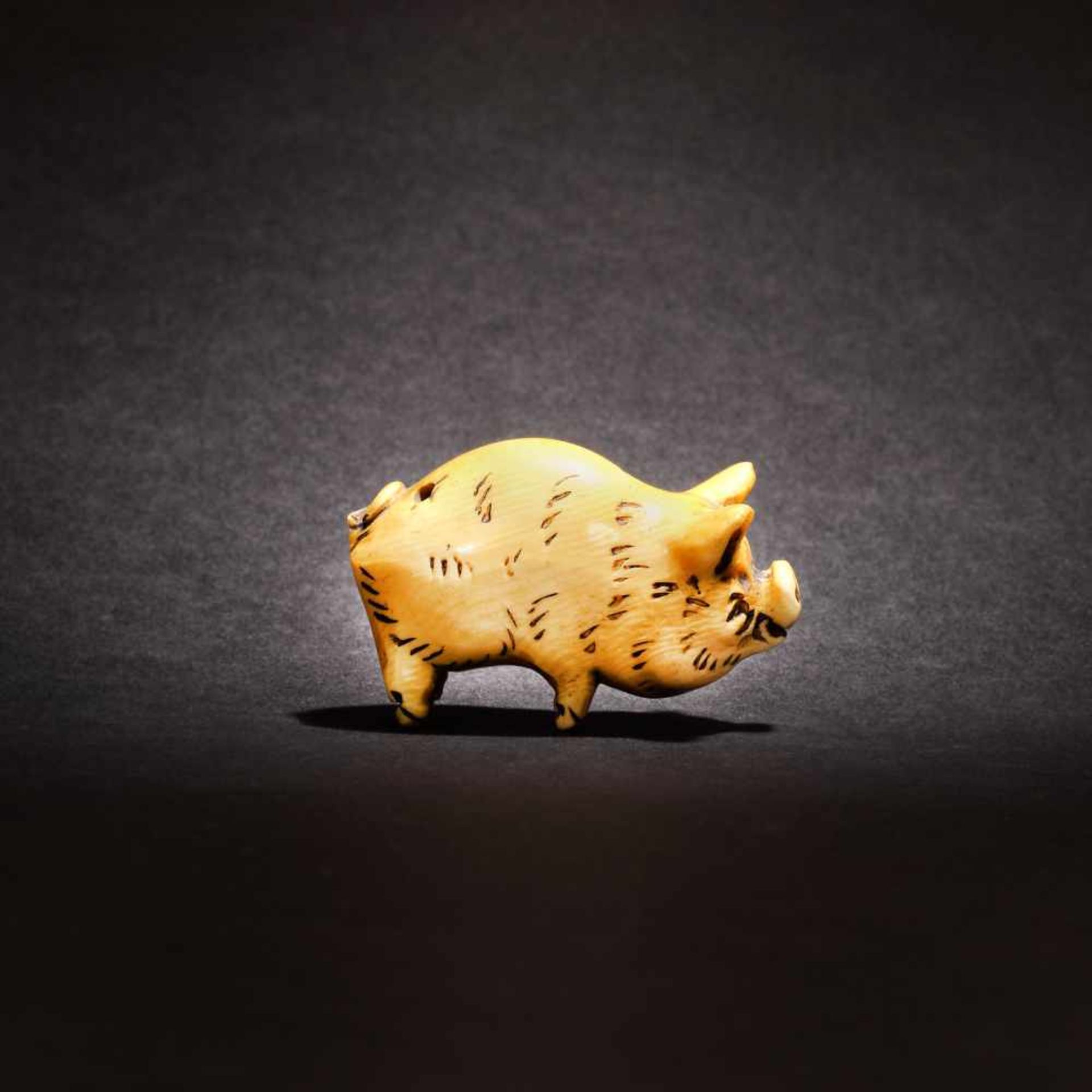 Ivory netsuke of a pig, Kazumasa signature, Meiji Era, Japan, the 19th centuryIvory netsuke of a - Bild 2 aus 5