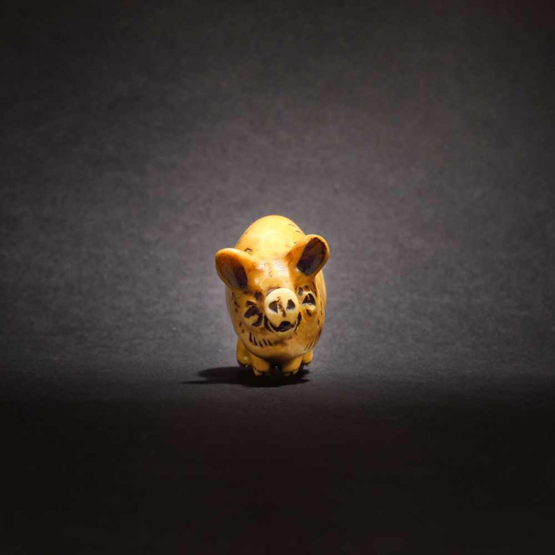 Ivory netsuke of a pig, Kazumasa signature, Meiji Era, Japan, the 19th centuryIvory netsuke of a - Bild 3 aus 5