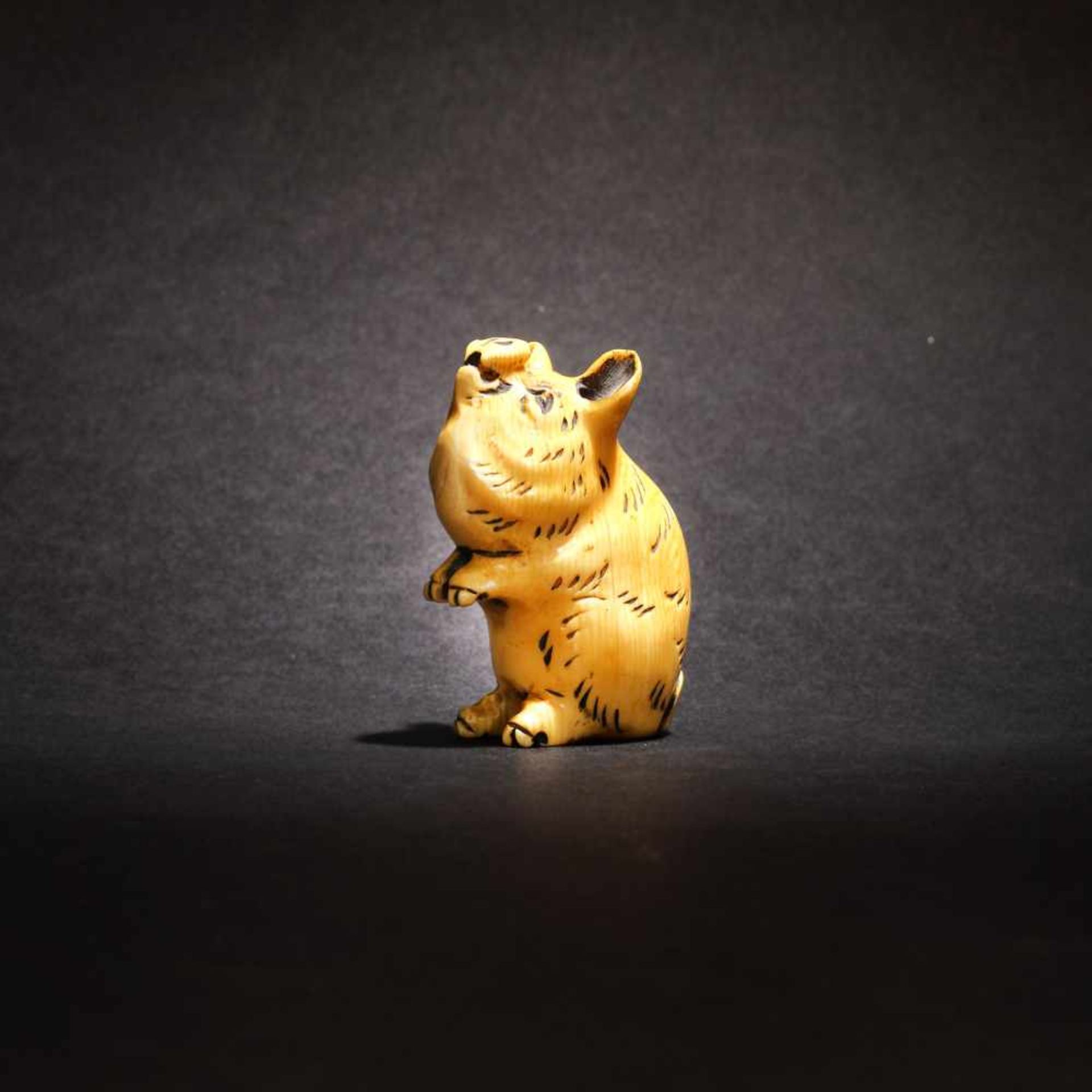 Ivory netsuke of a pig, Kazumasa signature, Meiji Era, Japan, the 19th centuryIvory netsuke of a - Bild 4 aus 5