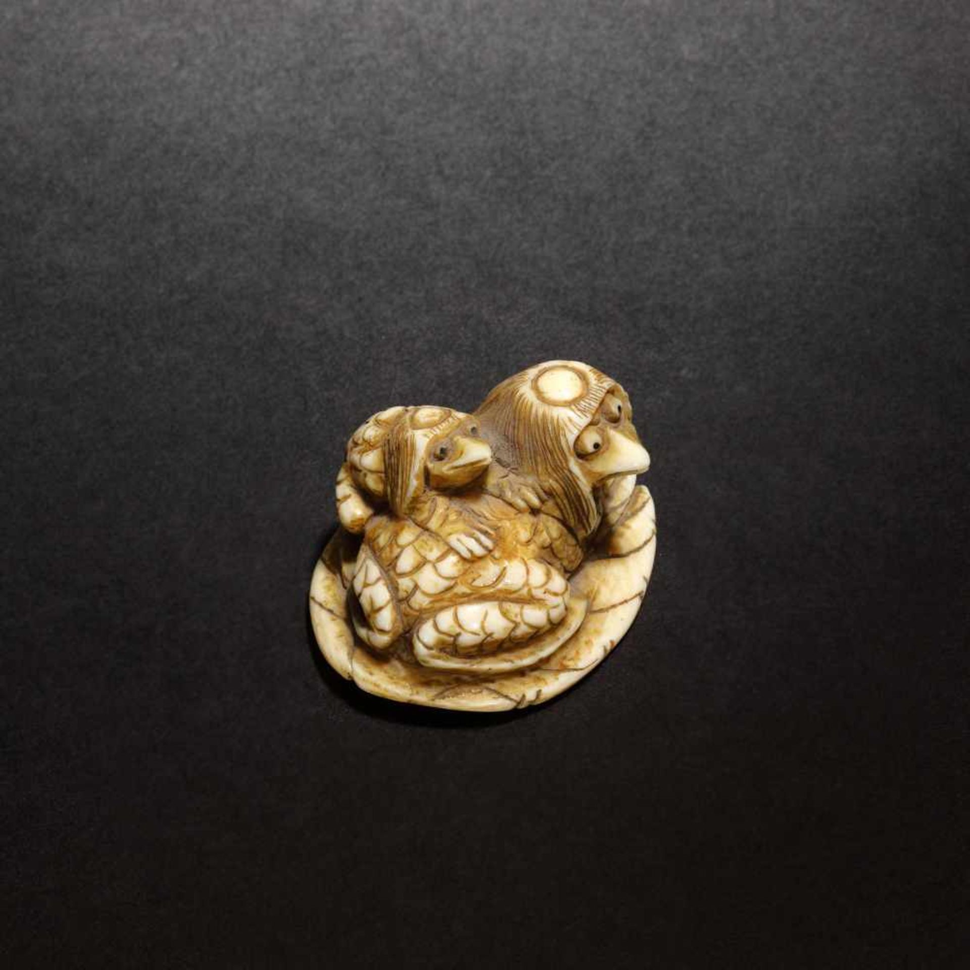 Ivory netsuke of a kappa bird with its chick on a leaf, Taketama signature, Meiji Era, Japan, ca. - Bild 4 aus 4