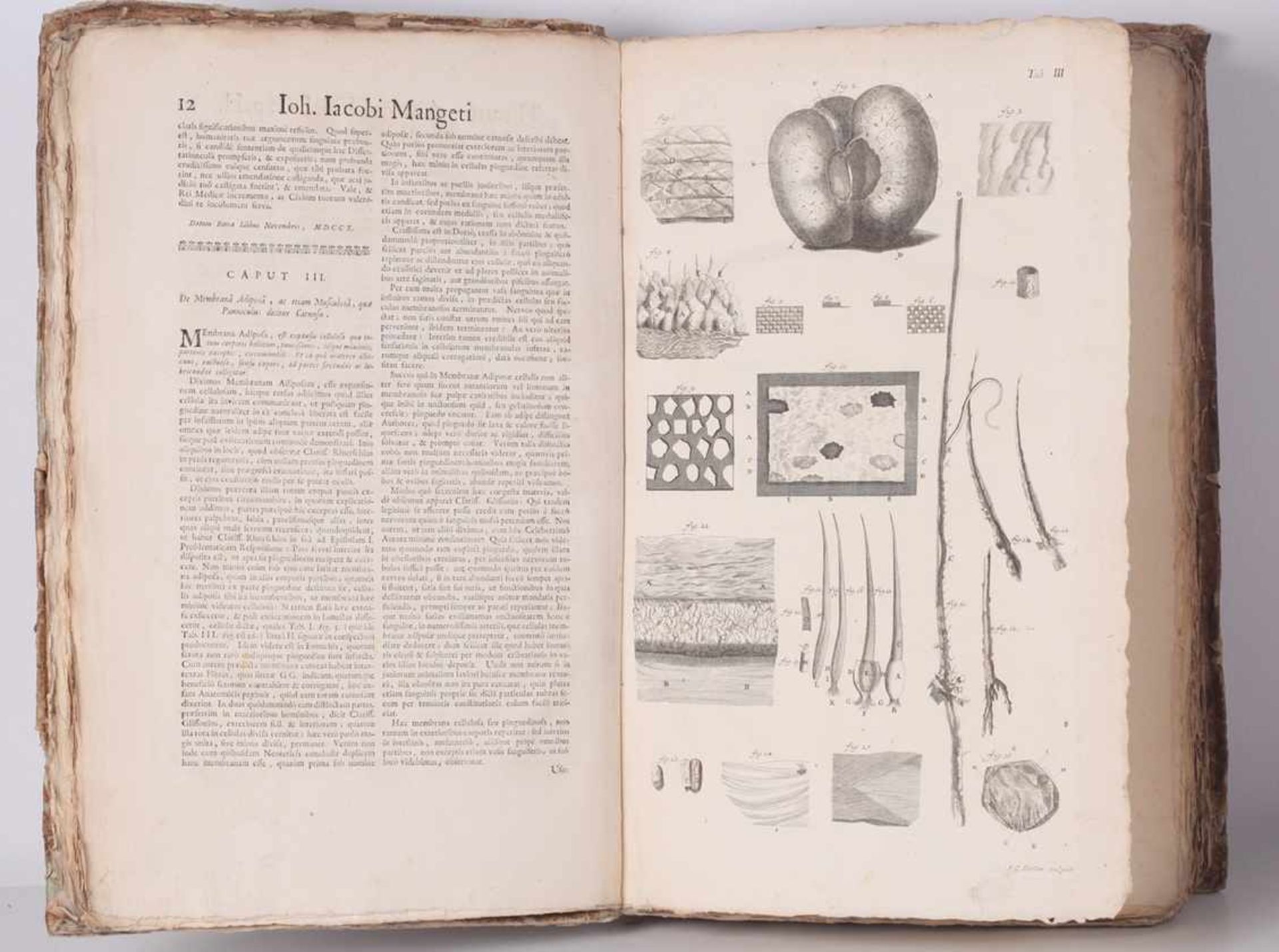 Joh. Jacobi Mangeti. Theatrum anatomicum: quô, non tantùm integra totius corporis humani in suas